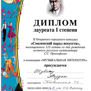 диплом Шубин А.